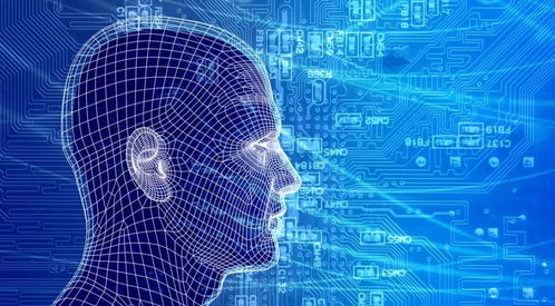 从直播间到工厂车间：我在抖音看到的就业新机遇