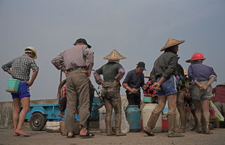 从渔网到珊瑚礁，我眼中的海洋治理中国方案