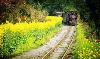 火车穿山西隧道变“煤蛋列车”？亲历者讲述：满脸黑灰，铁路部门回应来了