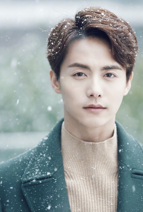 王安宇眼神忧郁特写