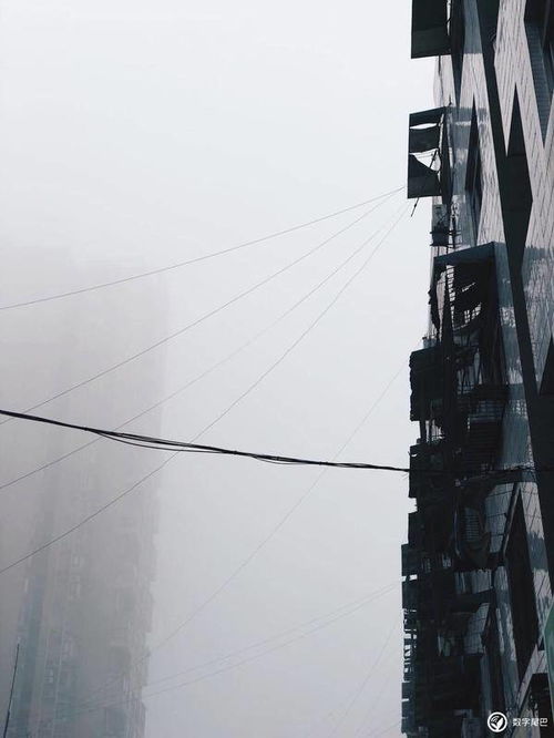 背着相机走在城市街道上的背影