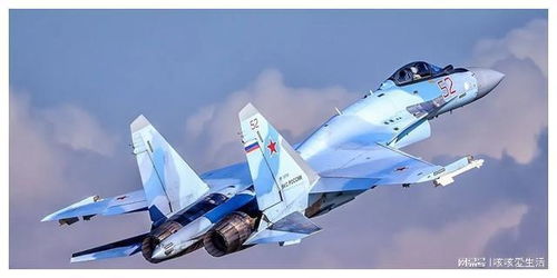 苏35战斗机残骸