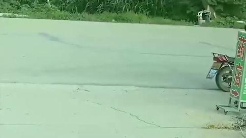 街头监控拍下男孩骑车画面