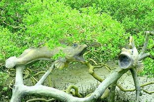 父亲手捧向日葵在考场外等待儿子