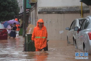 暴雨过后长沙街道正在清理