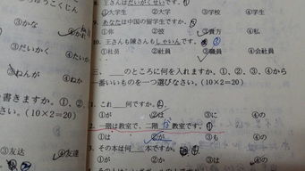 高考日语逆袭之路：从零基础到高分的奋斗故事