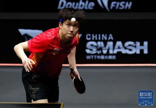 王楚钦比赛中专注击球