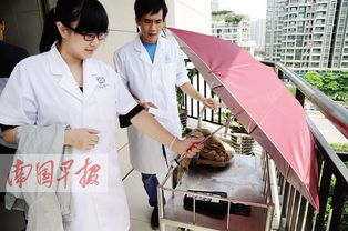 实验室检测人员测试防晒衣的UPF指数