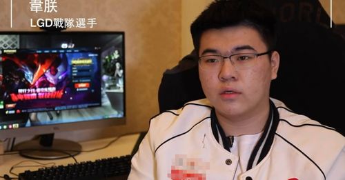 网友在评论区热烈讨论韦神账号