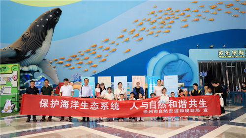 江苏世界海洋日环保活动现场图片