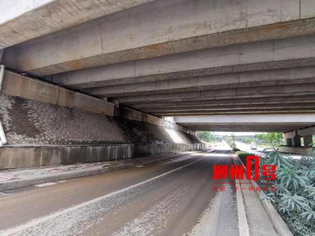 桥梁钢筋裸露村民忧，镇政府回应来了！