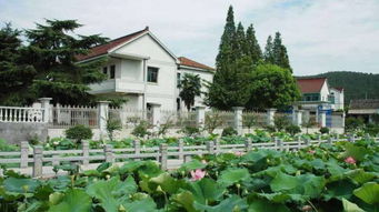 常州乡村银发旅游实景照片