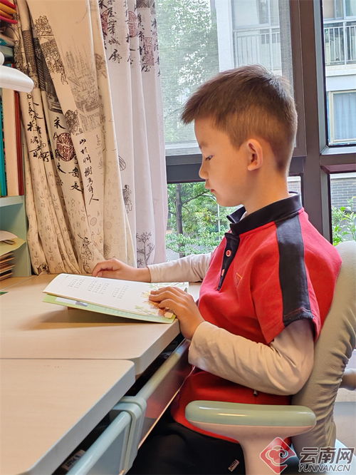 一名年轻人坐在书桌前认真阅读书籍