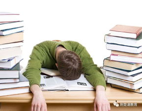 教室里两人并肩学习的背影