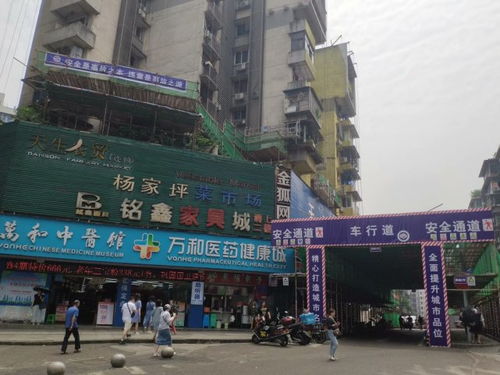 长沙小区楼梯变瀑布实景图