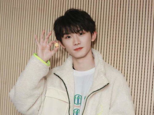 少年音歌手马嘉祺与王源同台想象图