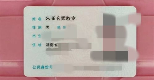 朱雀玄武敕令手持准考证