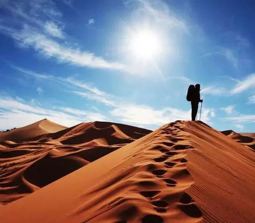 西天取经到底为了啥？一个真实又不为人知的答案！