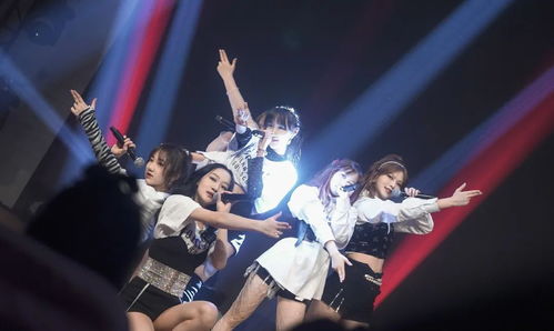 未成年偶像与校园生活对比图