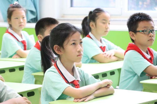 五胞胎在教室里认真复习功课