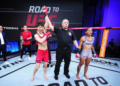 王聪备战UFC比赛训练场景