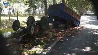 满地破碎的西瓜