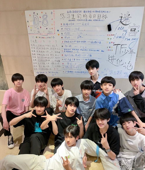 TF三代练习生疑似放弃高考？真相背后的成长与选择