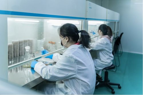 百代生物成功研发BIOG Fluorescein标记RNA探针合成试剂盒，我亲历技术革新之路