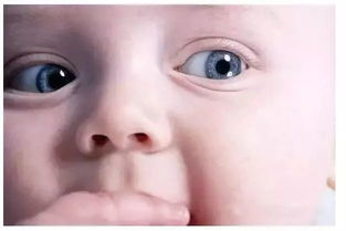 韦东奕门牙特写画面