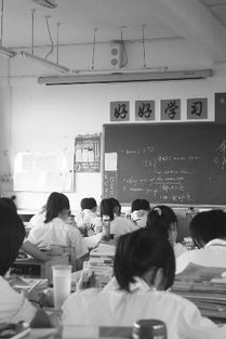 高考学生在教室认真复习