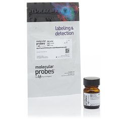 Alexa Fluor 488标记二抗包装图