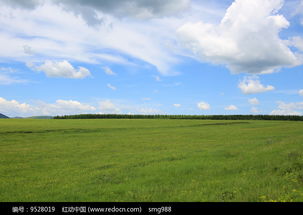 蓝天白云下的草原生态与野生动物和谐共存