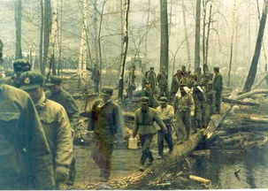 秦穆公坐镇指挥