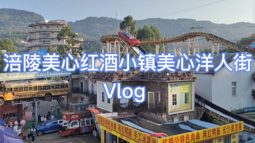 重庆美心红酒小镇旅居场景图片