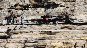 地质专家在现场勘查的照片