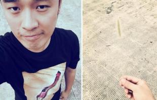 王俊凯回复陈赫微博引热议，粉丝直呼‘双向奔赴’太甜了！