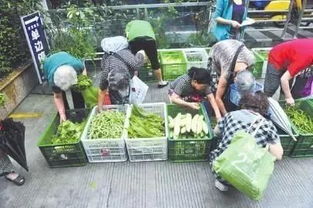 张译在菜市场买菜的背影