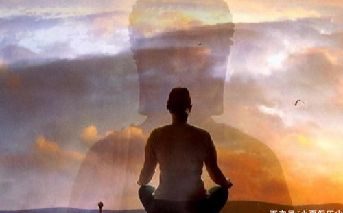 禅拍体验后，我的身心真的被治愈了吗？