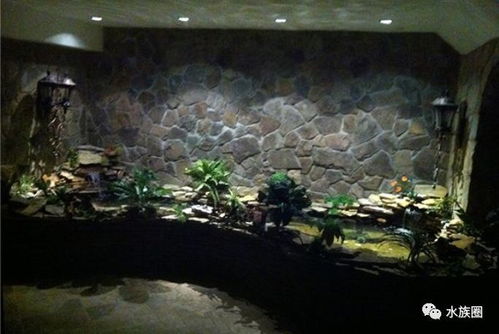 北京地下室惊现大鱼池，我亲历现场揭秘背后真相！