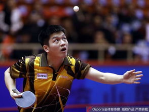 樊振东乒超开门红！赛场内外的他，依旧稳如泰山