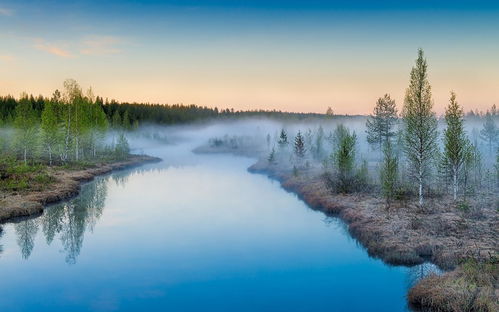 高考生物复习资料整理桌面