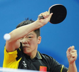 樊振东3比1胜徐海东！国乒新老对决燃爆微博热搜