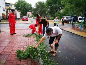 社区工作人员在清理灾后现场