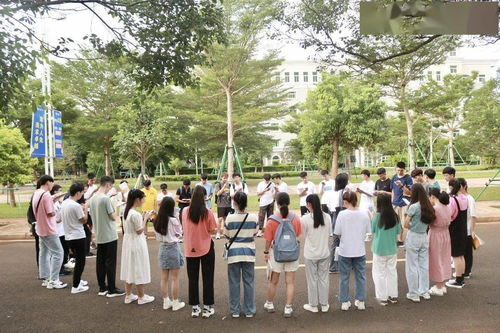 大学校园晨光下的学生身影