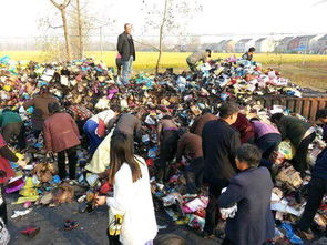 村民哄抢瓜田现场混乱不堪