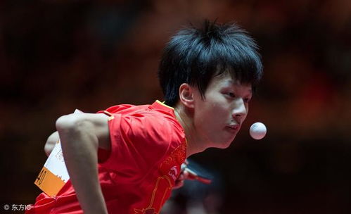 樊振东与林高远握手致意