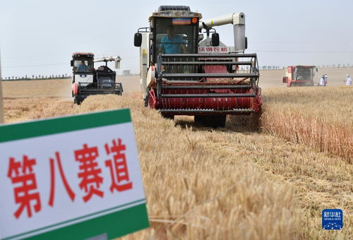 陕西神禾塬万亩麦田收割现场