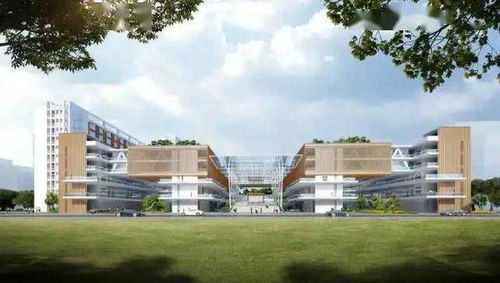 观澜中学蜕变记：从百年老校到现代教育新标杆