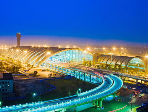 成都双流国际机场货运区忙碌场景