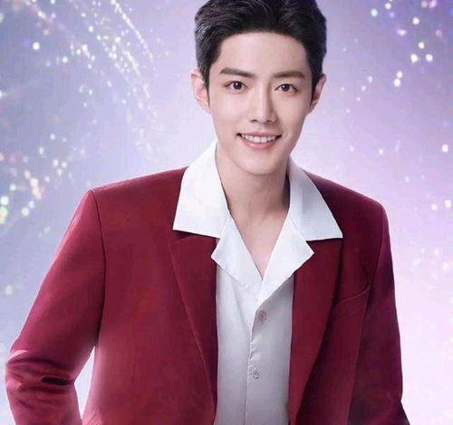 粉丝在现场拍摄肖战贴加官瞬间